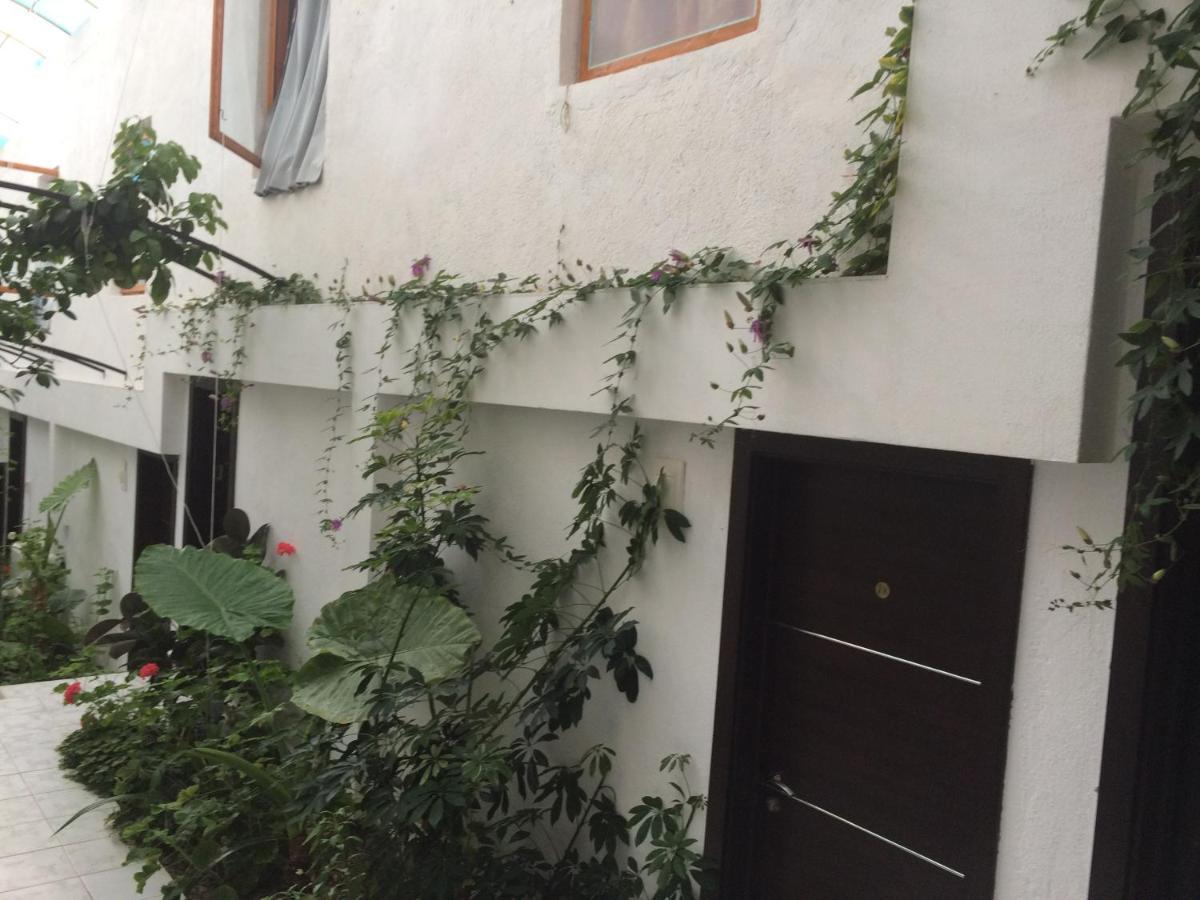 Family Hotel Belvedere Dŭlgopol Εξωτερικό φωτογραφία