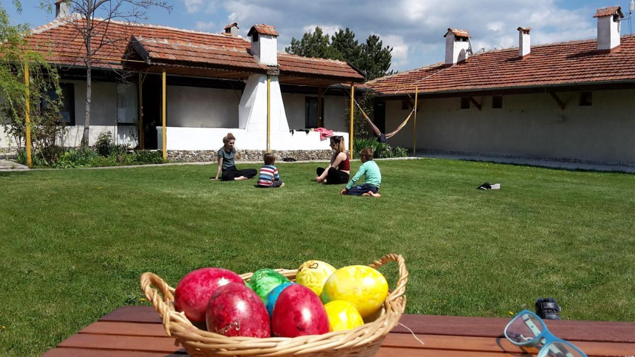 Family Hotel Belvedere Dŭlgopol Εξωτερικό φωτογραφία
