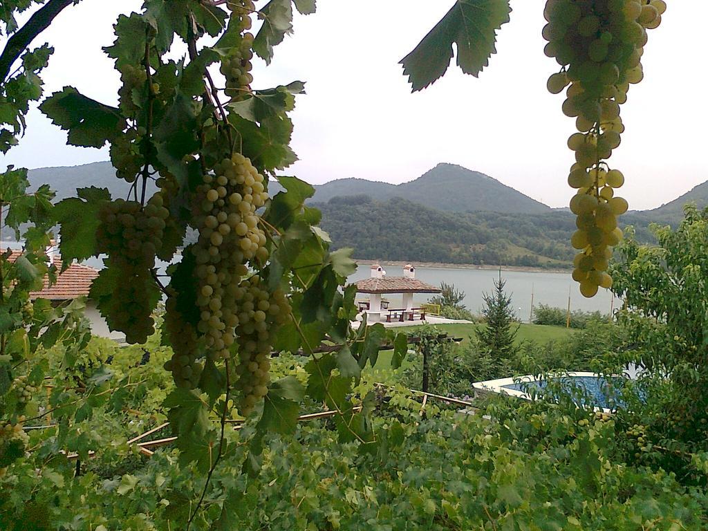 Family Hotel Belvedere Dŭlgopol Εξωτερικό φωτογραφία