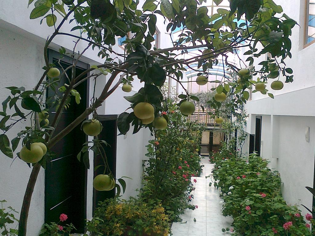 Family Hotel Belvedere Dŭlgopol Εξωτερικό φωτογραφία