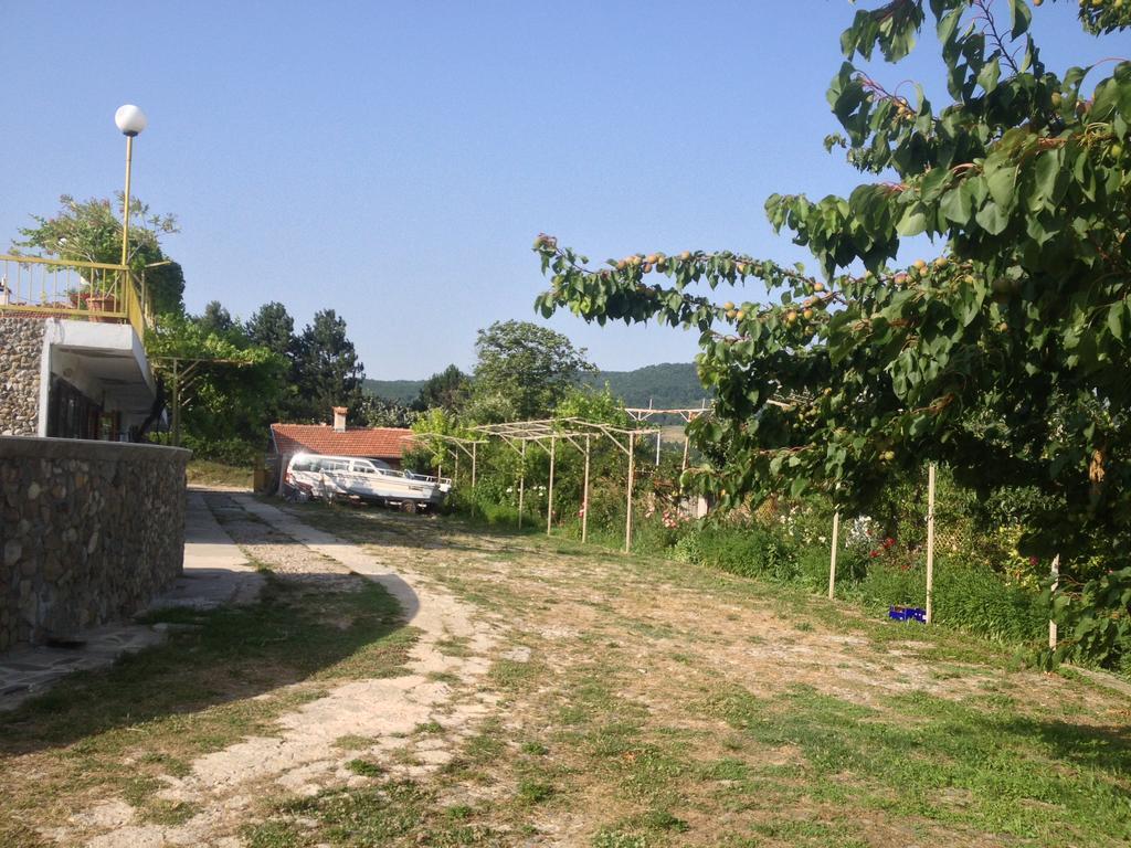 Family Hotel Belvedere Dŭlgopol Εξωτερικό φωτογραφία