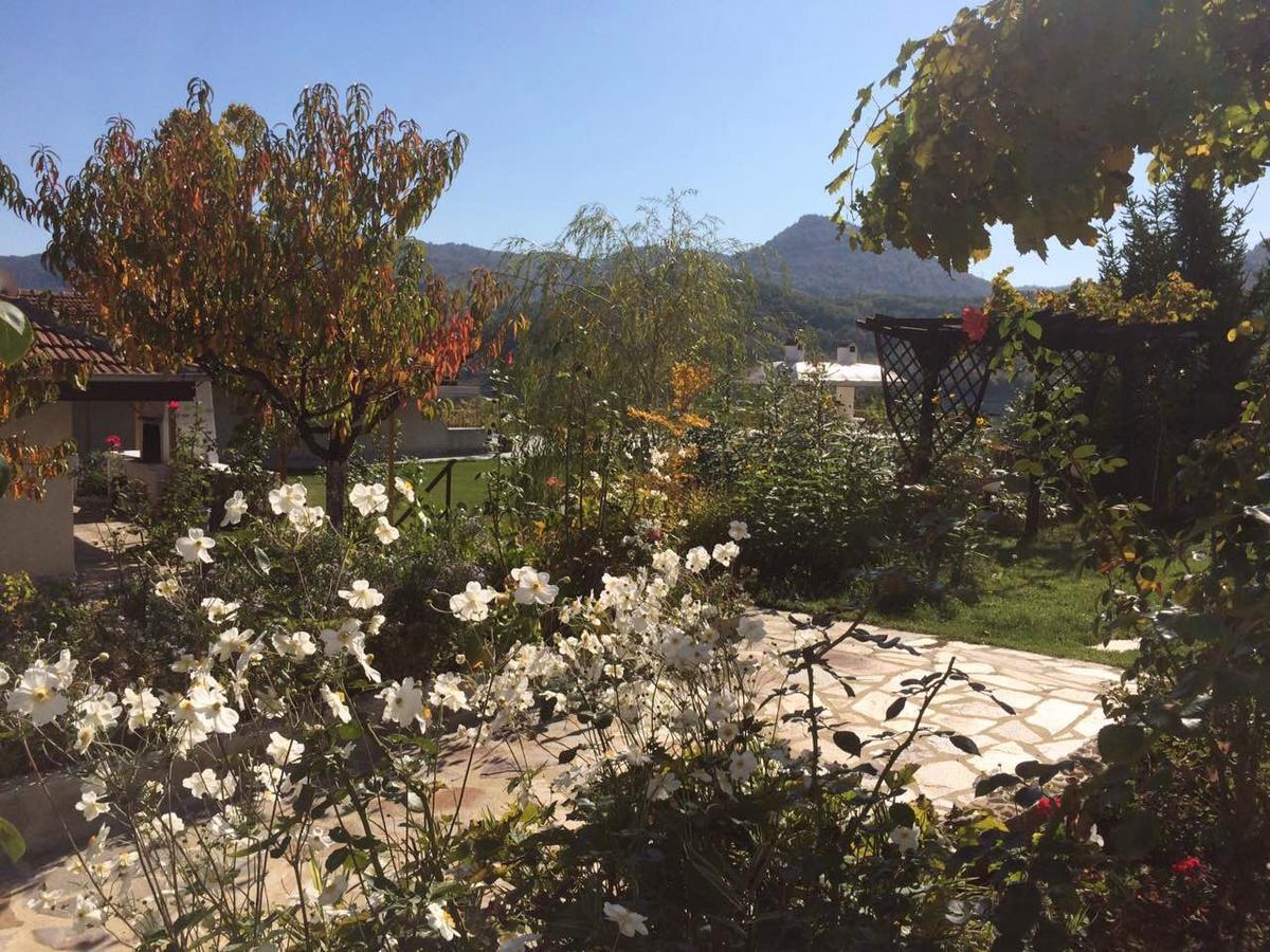 Family Hotel Belvedere Dŭlgopol Εξωτερικό φωτογραφία