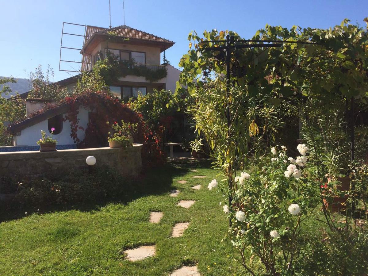 Family Hotel Belvedere Dŭlgopol Εξωτερικό φωτογραφία