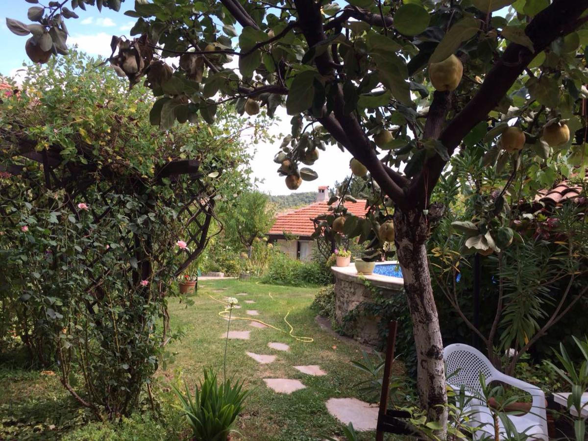 Family Hotel Belvedere Dŭlgopol Εξωτερικό φωτογραφία