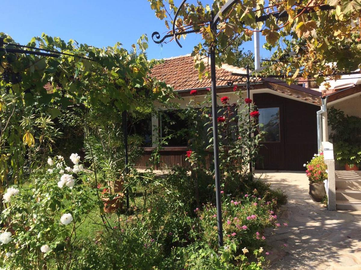 Family Hotel Belvedere Dŭlgopol Εξωτερικό φωτογραφία