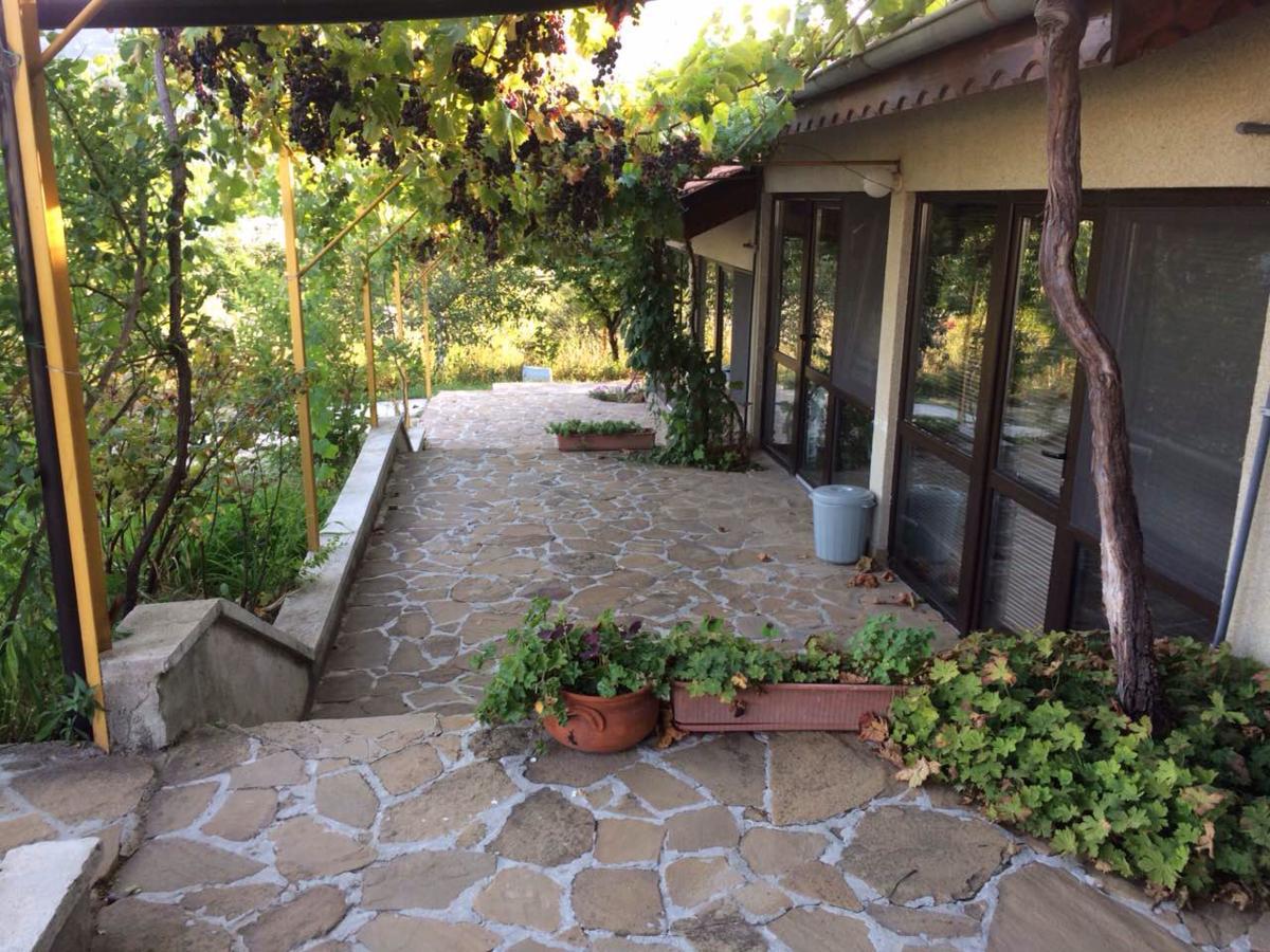 Family Hotel Belvedere Dŭlgopol Εξωτερικό φωτογραφία