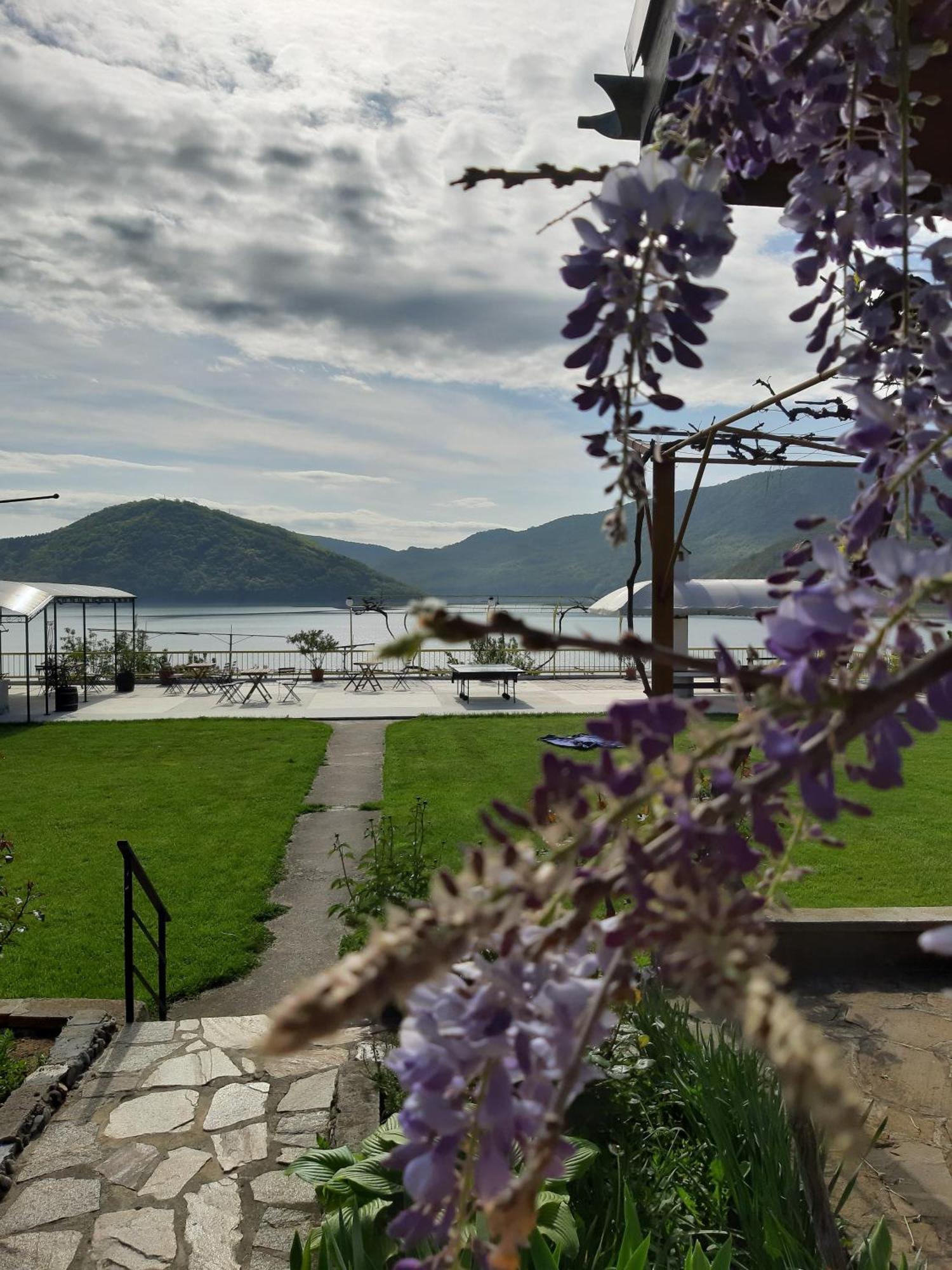 Family Hotel Belvedere Dŭlgopol Εξωτερικό φωτογραφία