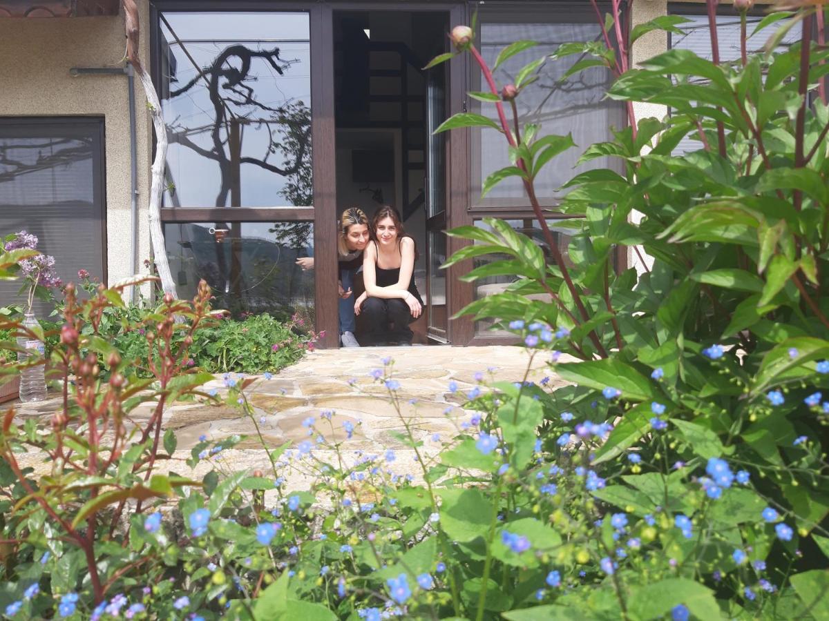 Family Hotel Belvedere Dŭlgopol Εξωτερικό φωτογραφία